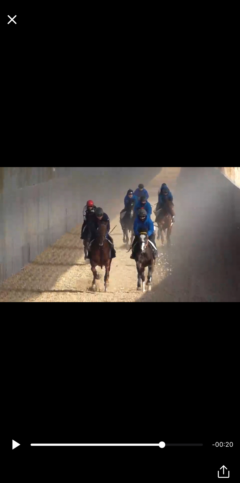 株式会社エクワインレーシング Talknote利用例 ［動画・写真］