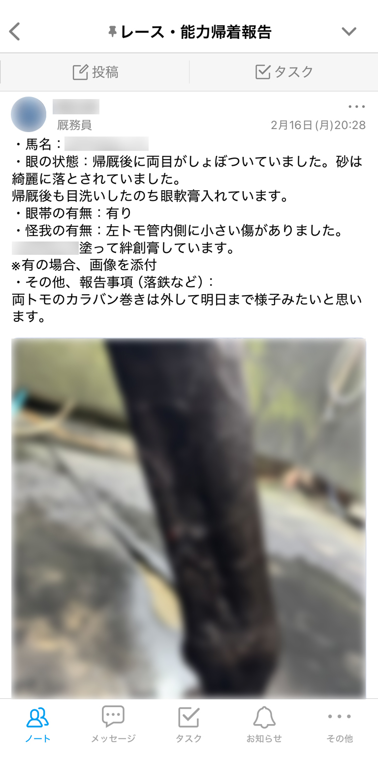 福田真広厩舎 Talknote利用例 ［レース・能力帰着報告］