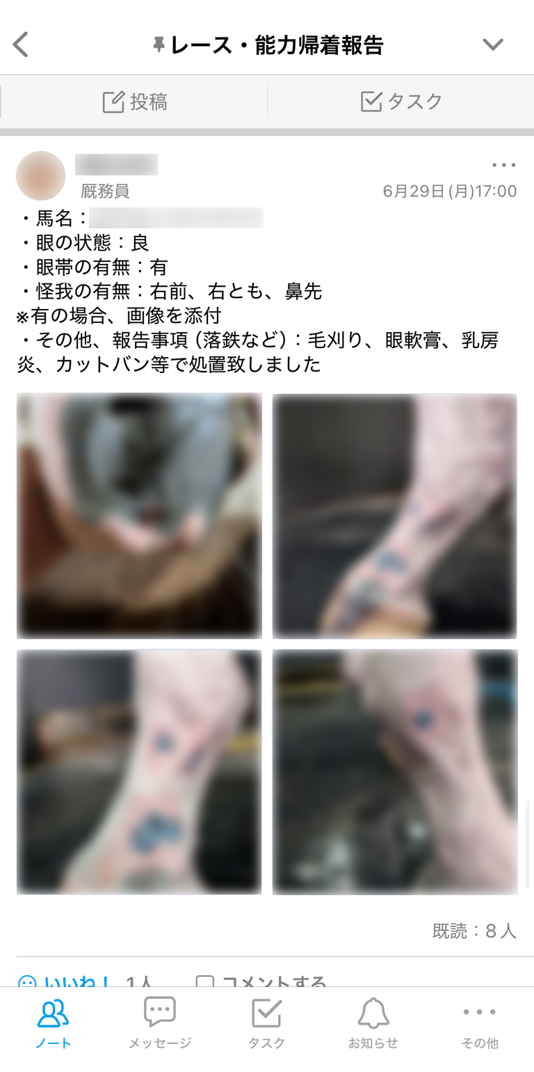 福田真広厩舎 Talknote利用例 ［レース・能力帰着報告］