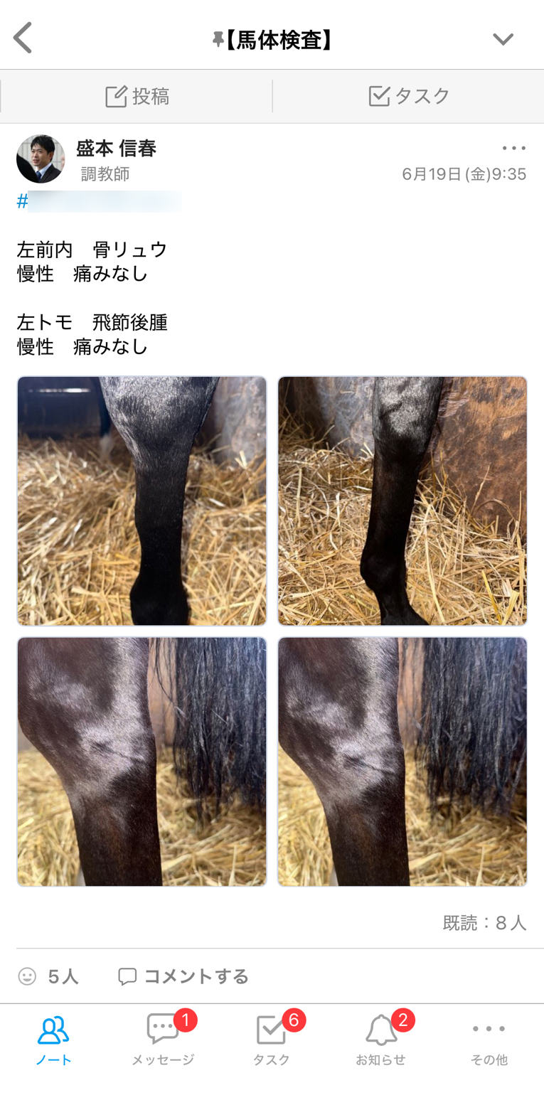 盛本信春厩舎 Talknote利用例 ［馬体検査］