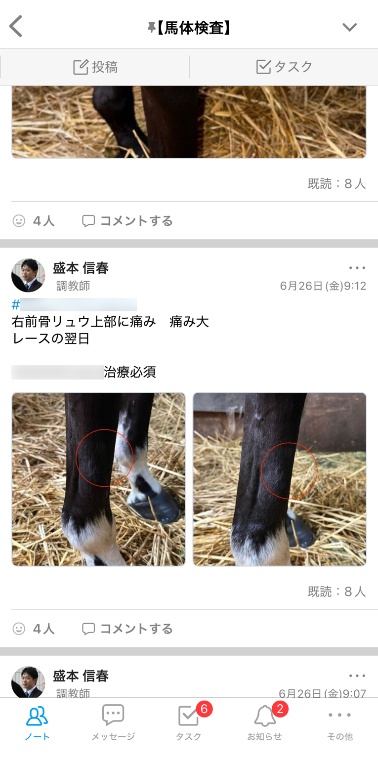 盛本信春厩舎 Talknote利用例 ［馬体検査］