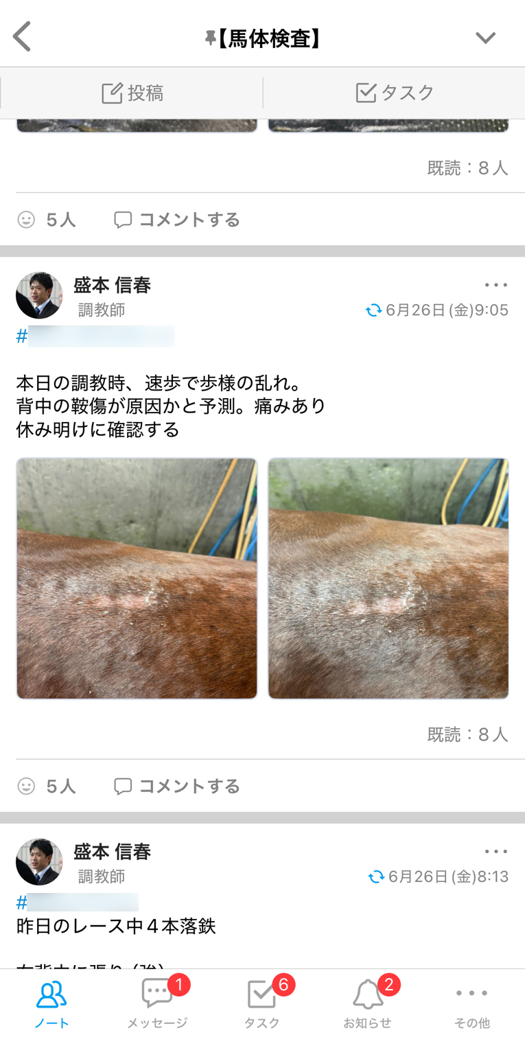 盛本信春厩舎 Talknote利用例 ［馬体検査］